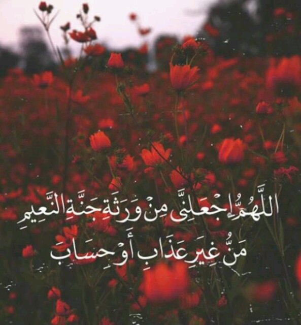 اللہمّ أغفر للمؤمنينَ واالمؤمنات ' وَالمسلمين وَ المسلمات الاحياءِ منہم وَ الأموات ..