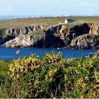 Yvon Herry (@yvonherry) 's Twitter Profile