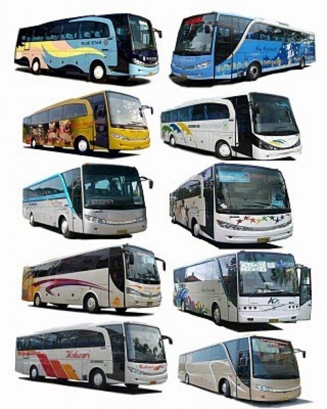 mau wisata? butuh bus? sedia berbagai macam bus standar dan VIP. CP : 081311264488