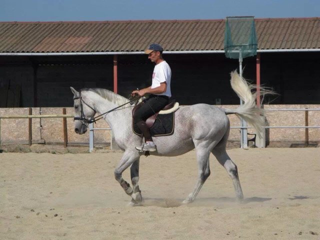 Une vie dediee aux chevaux a l equitation je suis moniteur de ce magnifique sport Et aussi cavalier de concour jeunes chevaux et pro !!!!