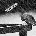 noosy (@22_noosy) Twitter