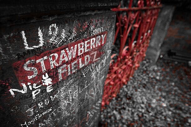 strawberrfieldz's profile picture. 