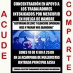Grupo de trabajadores intoxicados por mercurio por parte de la empresa AZSA.
En huelga de hambre desde el 08/11