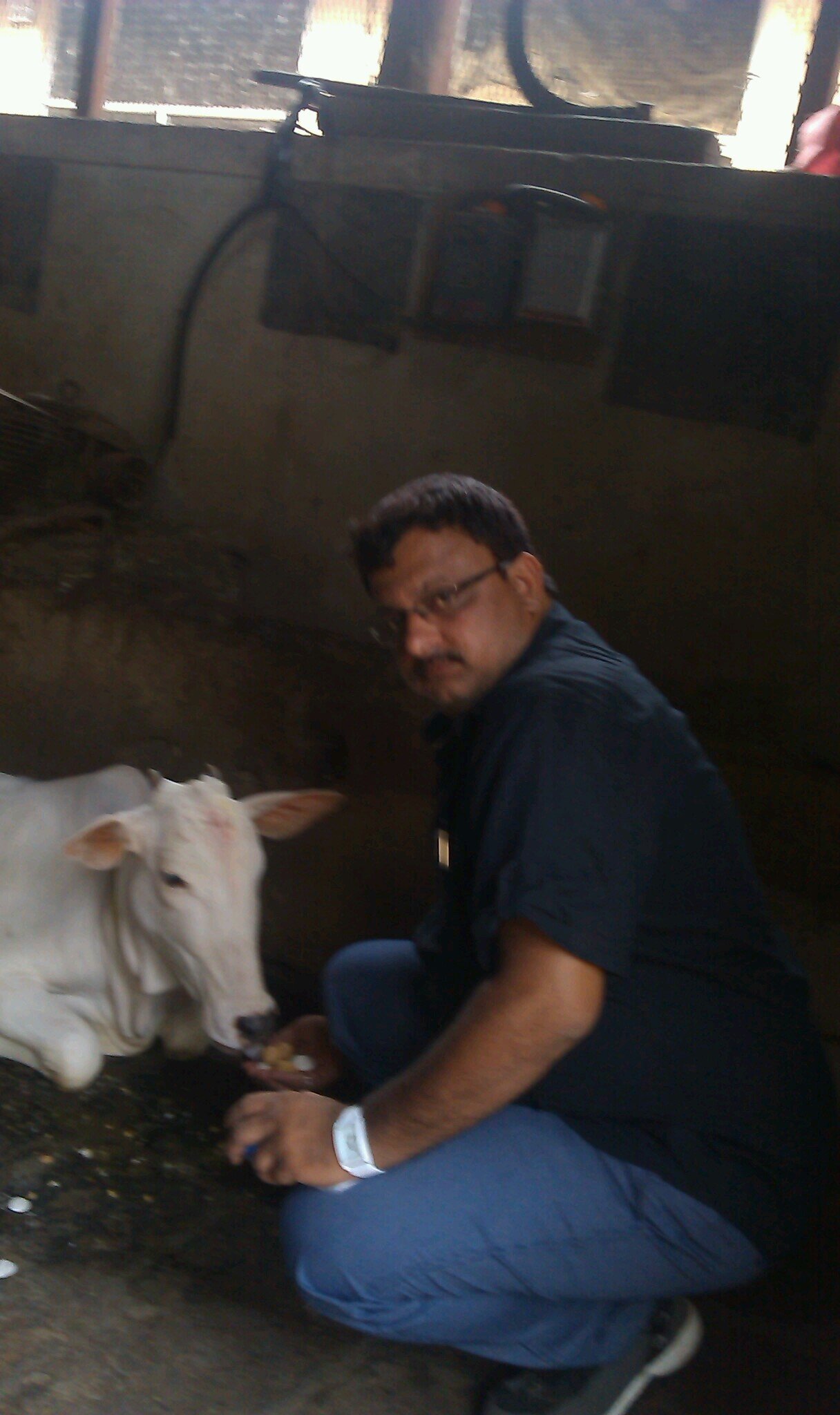 pankajthakkar9's profile picture. 