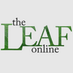 The Leaf Online (@theleafonline) Twitter profile photo The Leaf Online (@theleafonline) Twitter profile photo