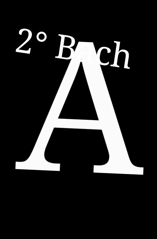 2°Bach A Profile