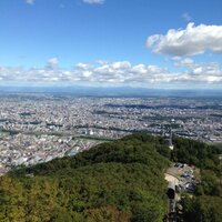 たけ (@olmecaking1) 's Twitter Profile