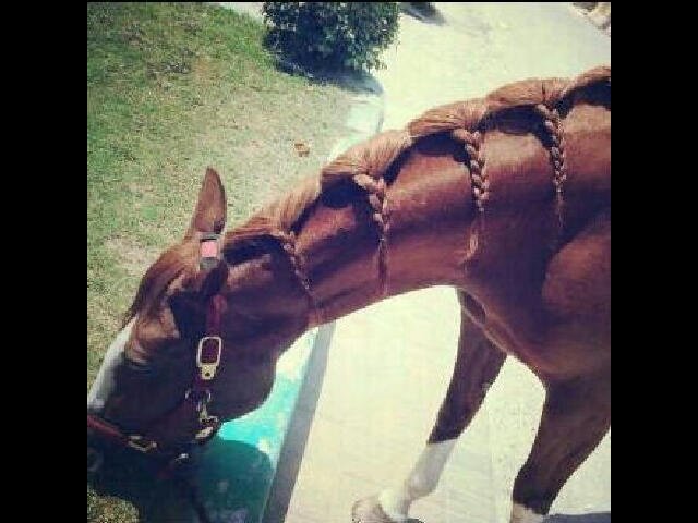 اللي يسعد اللي يفعل لي اللي بيفعل لي يجيني كيك bbmbbm00