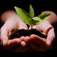 Máster Microfinanzas (@microfinanzas_c) 's Twitter Profile