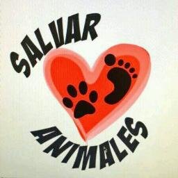 Somos una Organización sin ánimo de lucro, luchando por la vida de cada animal. Salvar Animales Paraguay  0972160964