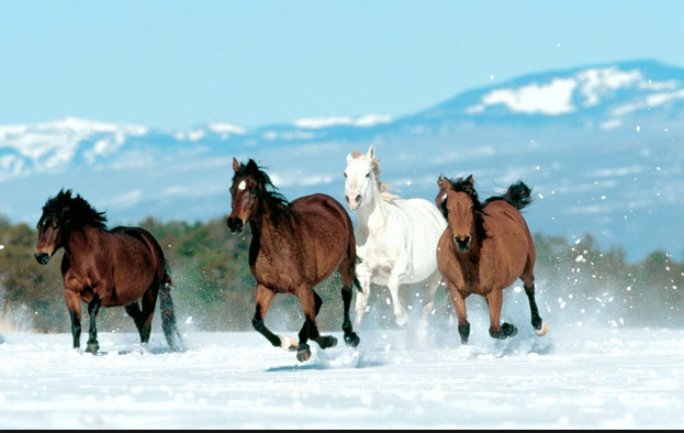 20lKaye's profile picture. 