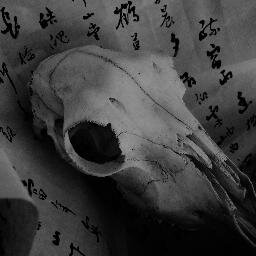 Antonさんのプロフィール画像