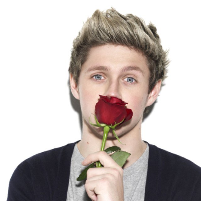 Hey guys. I'll update you guys as much as i can. My instagram is - @the_best_niall