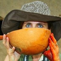 Céline Fontana (@celinefontana) 's Twitter Profile Photo Céline Fontana (@celinefontana) 's Twitter Profile Photo