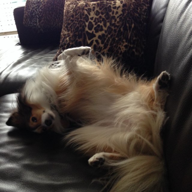 jersands's profile picture. Don't worry, I don't even like myself most days.