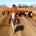 Rob McDowall (@walkaboutranch) Twitter profile photo