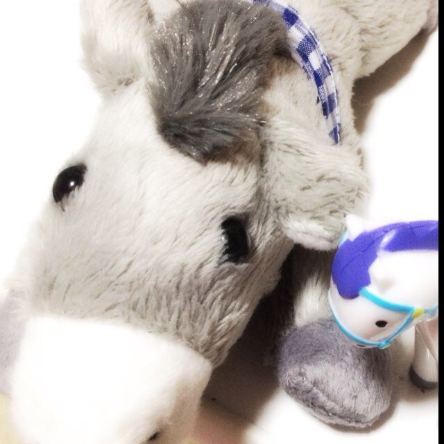 競馬は初心者マーク お馬が大好き♡ サラブレッドの魅力にどっぷり浸かり中‼ 日々、お勉強です(o^^o)