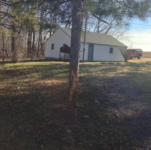 roto4_00's profile picture. 