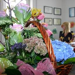 SamraLuckin's profile picture. 