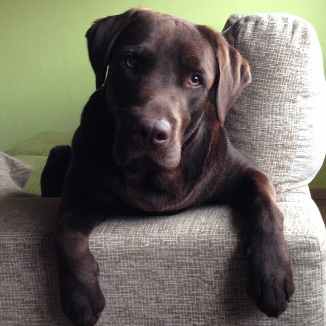 annavilareixach's profile picture. Mare, llicenciada en química i apassionada per l'esport, la cuina i la nostra terra.