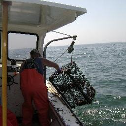 I am a Commercial Lobster Fisherman & USCG Licensed Charter Captain.  Specializing in Family Fishing and Lobster Charters       **Buy Local Eat Fresh!**