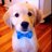 Cute Overloads