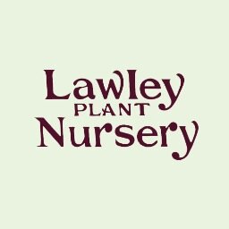 Independent Plant Nursery | Herbs | Plants | Garden Paraphernalia
Lifestyle | 07931 081291