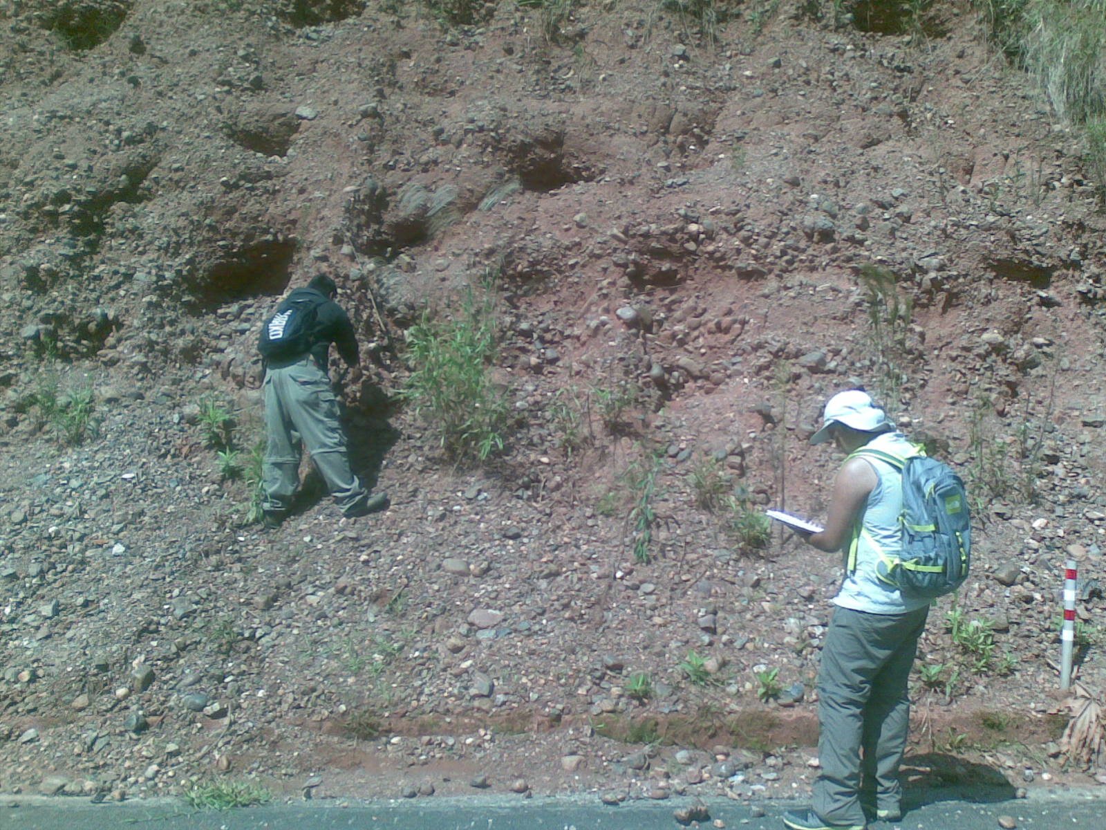 Trabajo en la Naturaleza