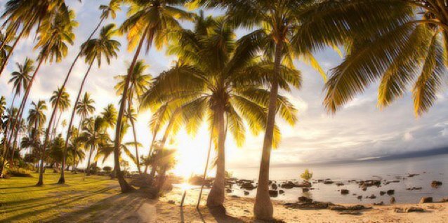 foreverrwishing's profile picture. 