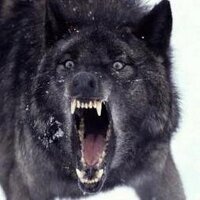 The Demonic Group (@demonsftw) 's Twitter Profile