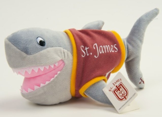 St.james learning about digital citizen ship! FINN