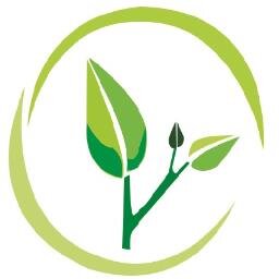 Agromantencione's profile picture. Asesorías Agrícolas, Diseño, Mantención y Construcción de Áreas Verdes, Jardinería, Poda de Palmeras e Instalación de Sistema de Riego Automático.