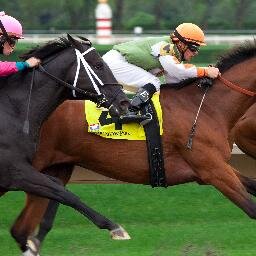 Free Horse Racing Tips. We have 50 years experience in the industry and want to share our knowlegde with our followers.