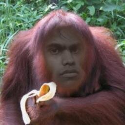 Crownish Profile Picture