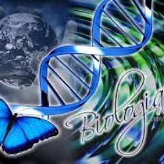 A biologia que envolve o mundo. Dicas para estudo e curiosidades.