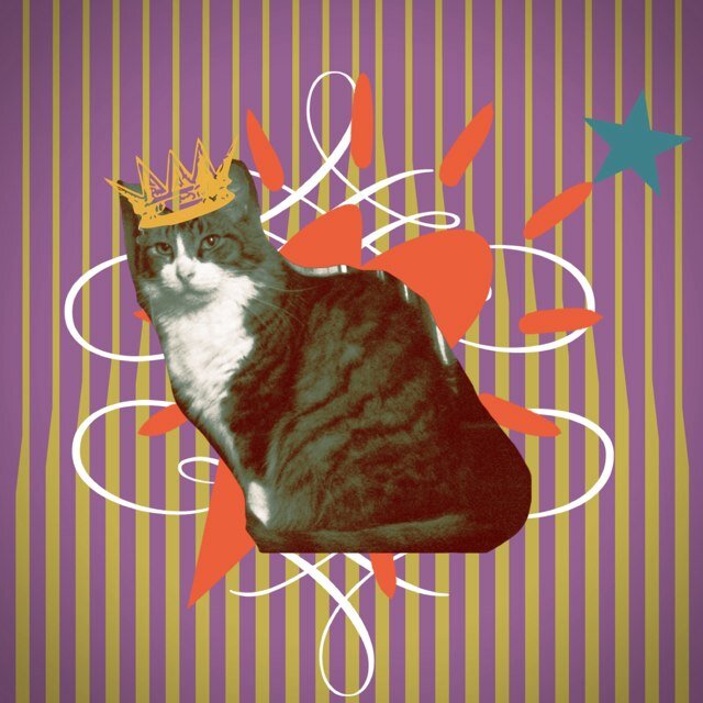 friedneckbones's profile picture. 