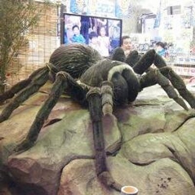 巨大生物 出現 Kyodaiseibutsu Twitter 巨大生物 出現 Kyodaiseibutsu Twitter