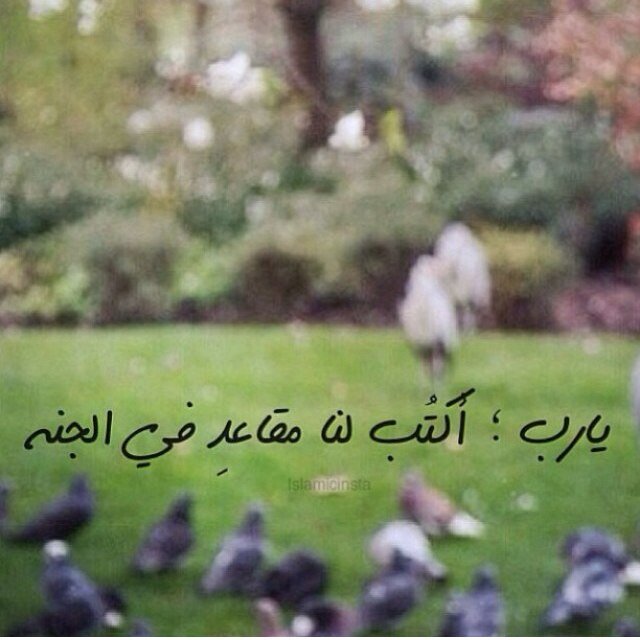 الحمدلله والصلاة والسلام على نبينا محمد من استحي من الله عند معصيته استحي الله من عقابه يوم يلقاه : ومن راقب الله في خواطره عصمه في حركات جوارحه .. ابن القيم