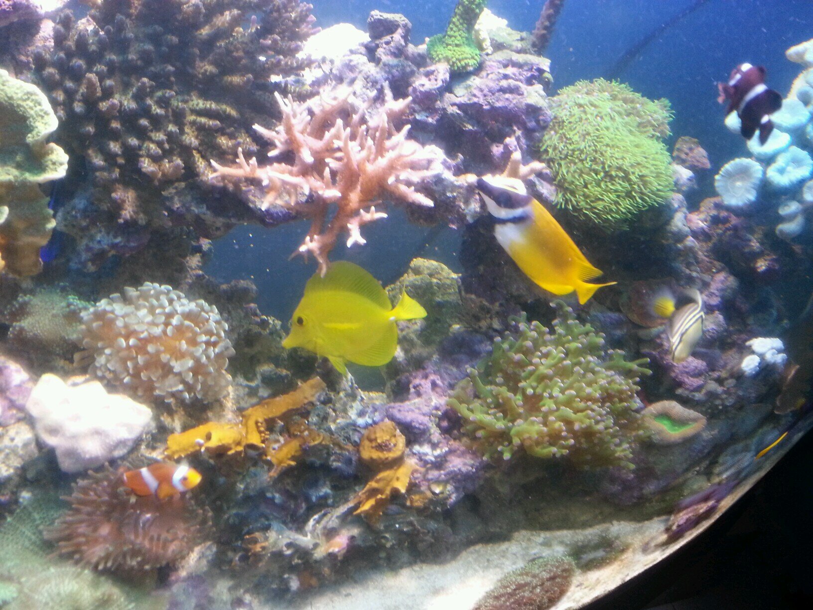 jctoroq's profile picture. 