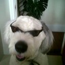 Murray Skinner - @murray_skinner - Twitter