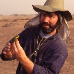 BTO rep for Suffolk. ‘A’ ringer for 40 years. Naturalist. Retired SWT reserves manager.