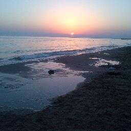 PaolaVenanzi's profile picture. giornalista professionista