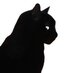 le chat noir (@pachinou) Twitter profile photo le chat noir (@pachinou) Twitter profile photo