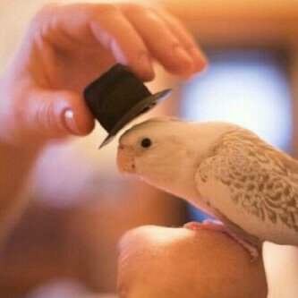 «♯.. لا ﺗﺷﯾل هم וﻟدﻧﯾו  دוم וﺧرﺗها رﺣﯾل  /3*beer* !