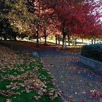 Ray Gaudet (@imac46) 's Twitter Profile