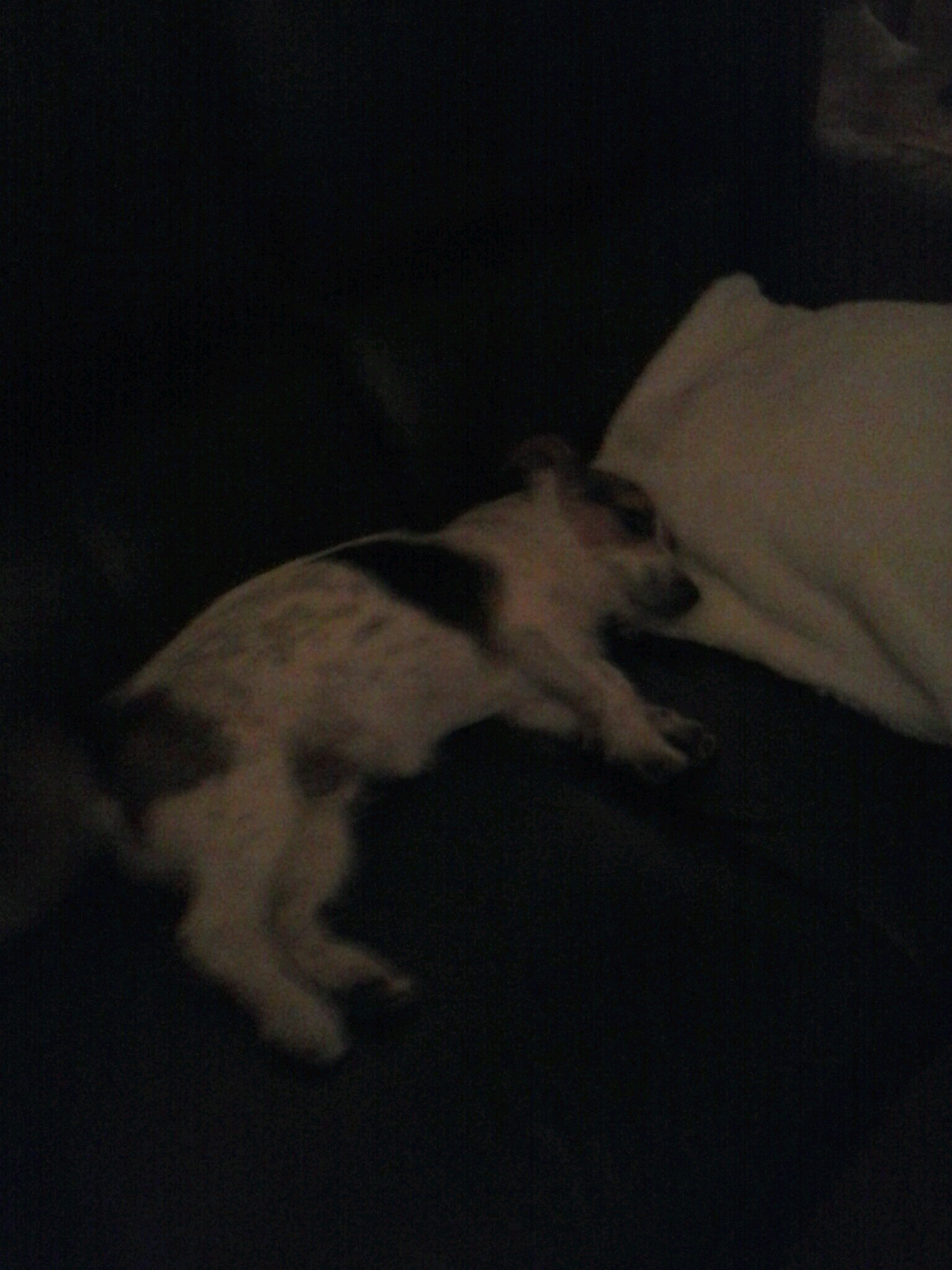 tjerkboy's profile picture. 