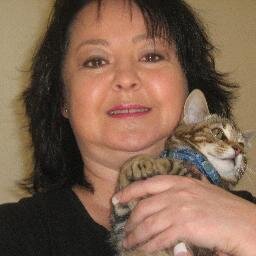 Loves the Springboks