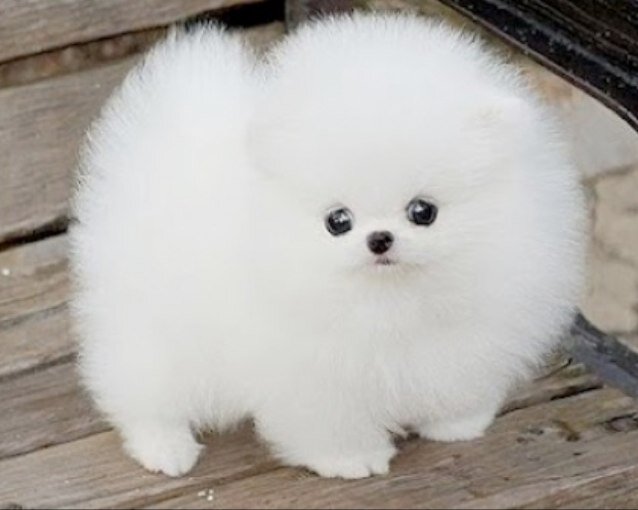 HeyyyyyyaHiyya's profile picture. Follow for more teen quotes x