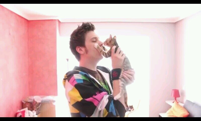 Soy el nuevo Gatito De El Rubius. Amo al Rubiu soy el mas Awsome de la casa me gusta pelearme con Raspberry Y trollear with love a Rubius.