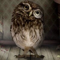 Julie Evans (@dark_jem) 's Twitter Profile